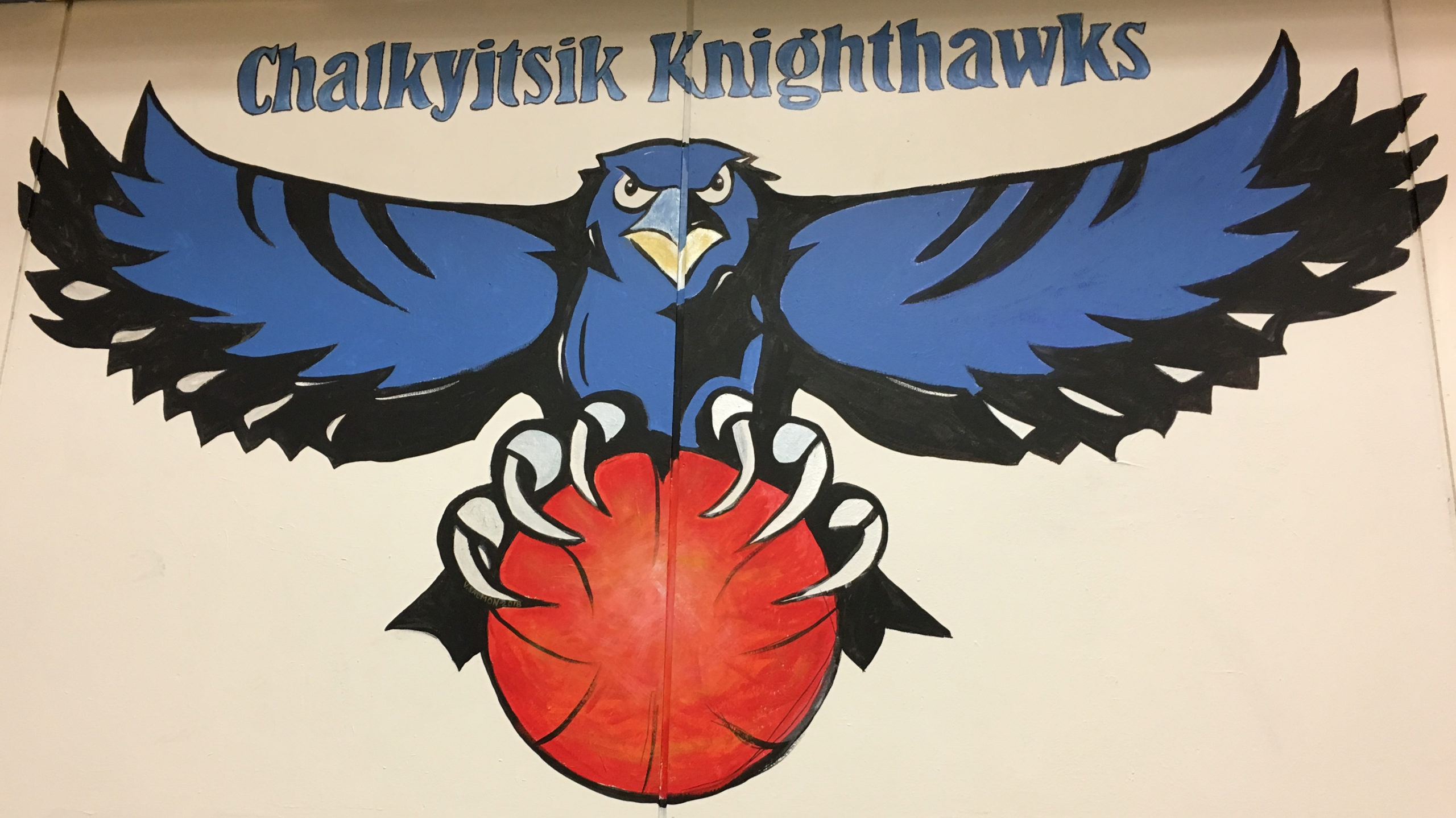 Knighthawk Mascot